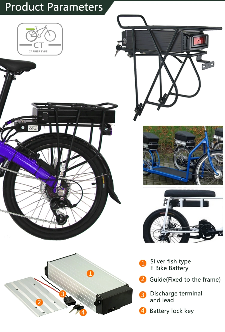 Beautiful City Electric Bike E-Bike Electrical Scooter Motorcycle Fat Tire Bike Scooter with 36V Rear Rack Li-Battery