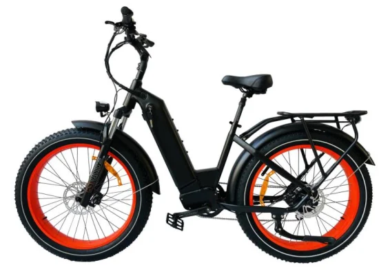 Queene 電動マウンテンバイク E MTB バッテリー電動自転車オフロードファットタイヤ電動自転車 1000 ワット電動自転車
