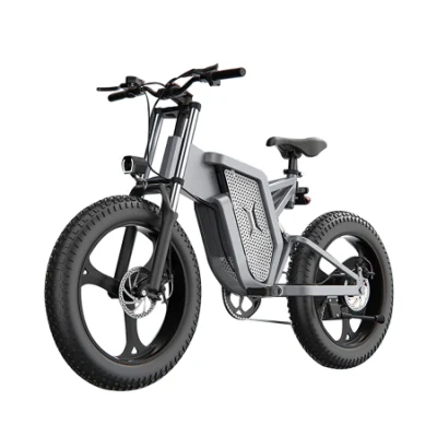 工場出荷時の価格 20 インチファットタイヤ電動自転車 40-120km 電動自転車隠しバッテリー付き