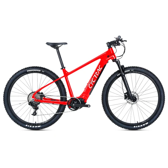 Bafang MID ドライブ モーター 16ah Batteria al litio Mountain E Bike Elektrofahrrad ドロップシップ